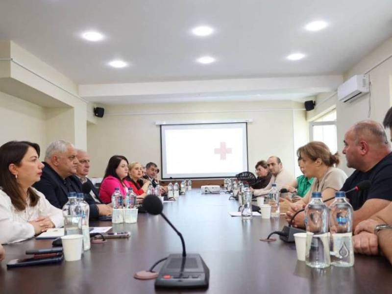 სახელმწიფო რწმუნებულის ადმინისტრაციაში საქართველოს წითელ ჯვართან სამუშაო შეხვედრა...